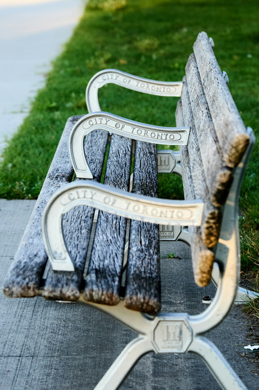 city park bench scene