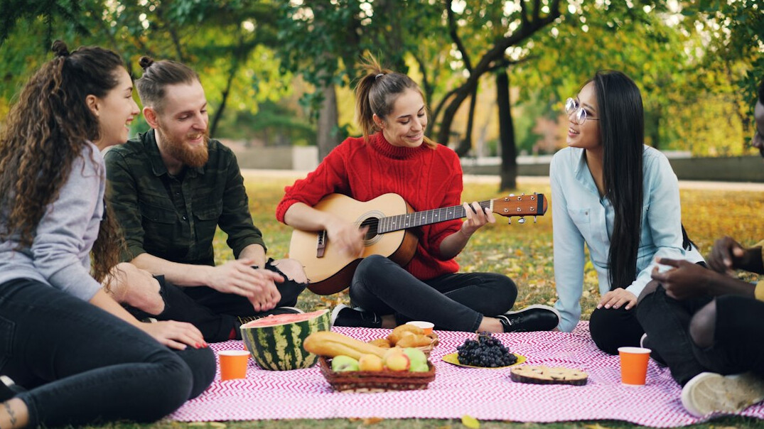 group picnic in park