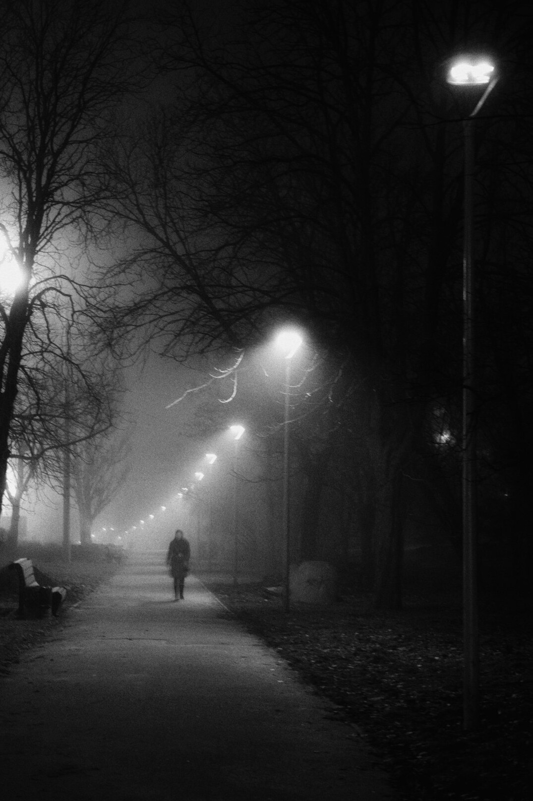 evening park walk