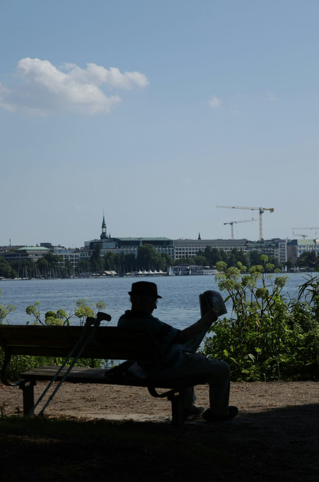 person reading on bench