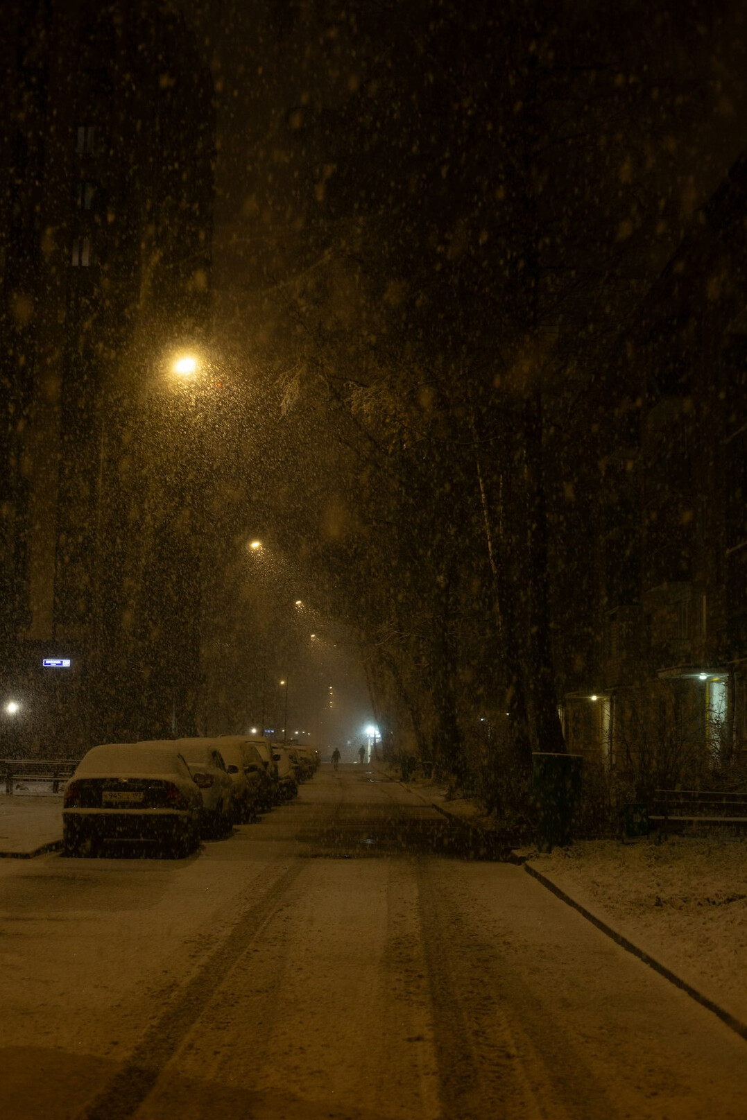 A quiet city sidewalk lit by evening streetlights
