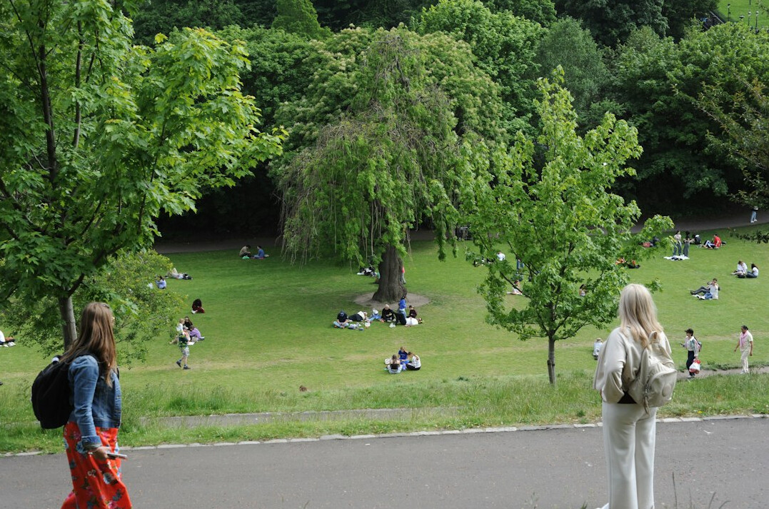 people relaxing in park